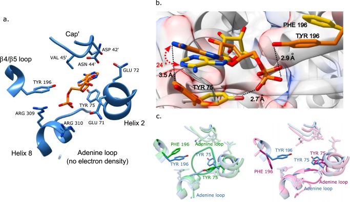 FIGURE 7.