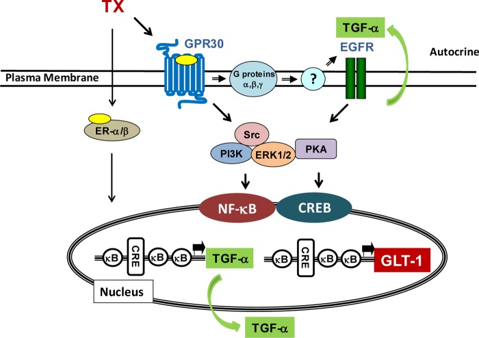 FIGURE 10.