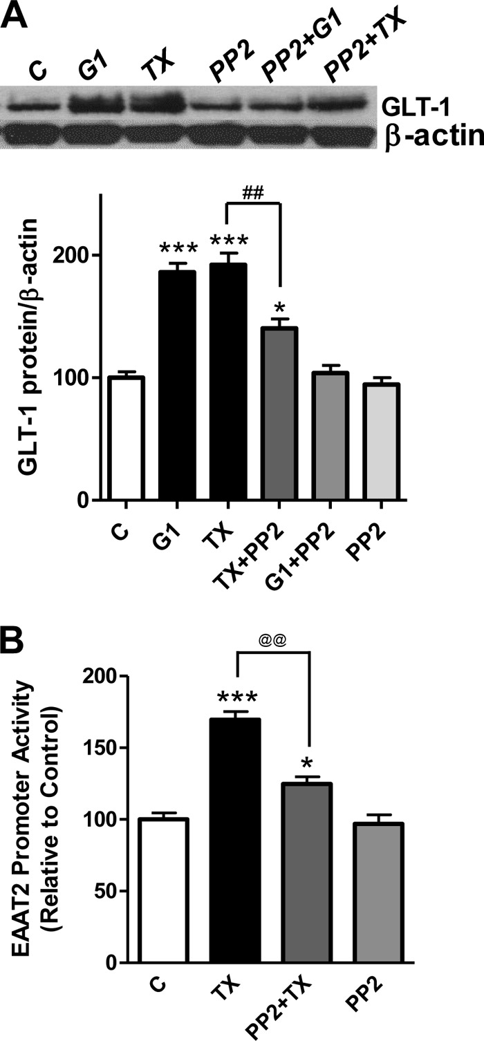 FIGURE 9.