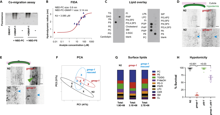 Figure 4