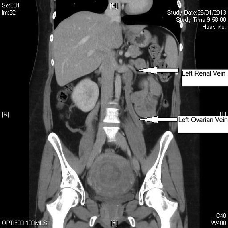 Figure 1