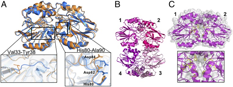 Fig. 6.