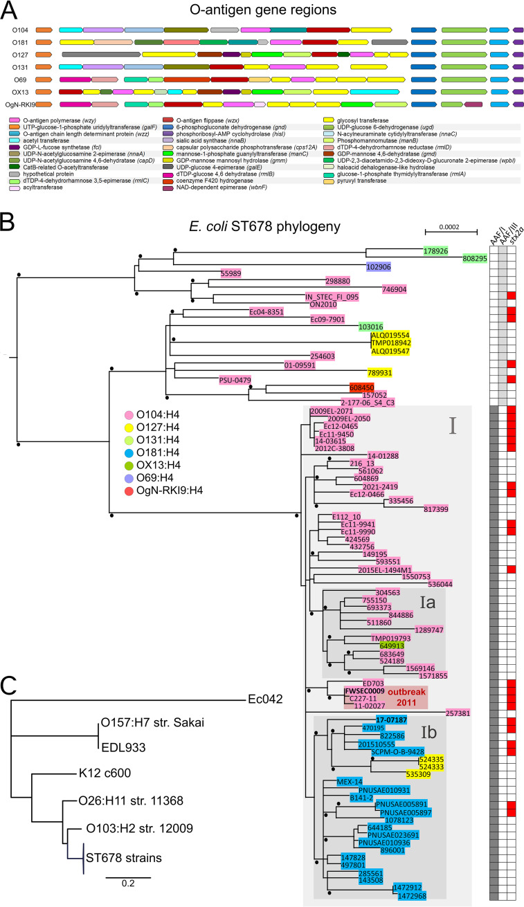 FIG 4