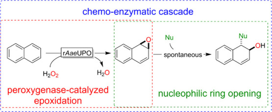 graphic file with name cs0c05588_0008.jpg