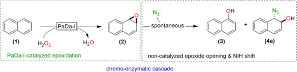 graphic file with name cs0c05588_0007.jpg