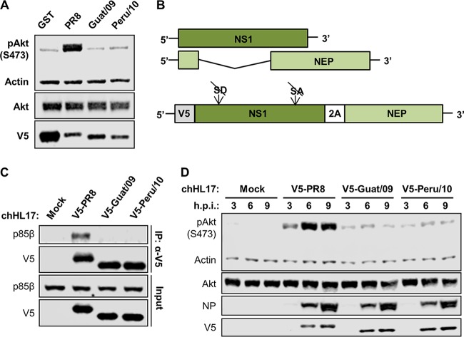 FIG 3