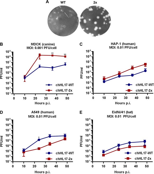 FIG 6