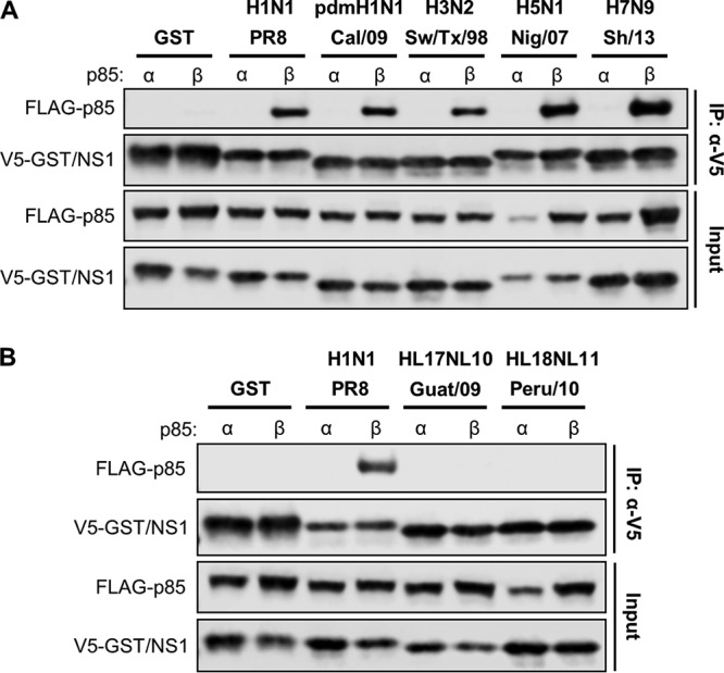 FIG 1