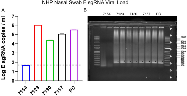 FIG 2