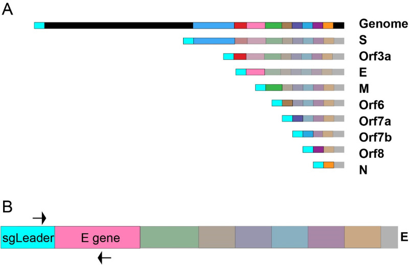 FIG 1