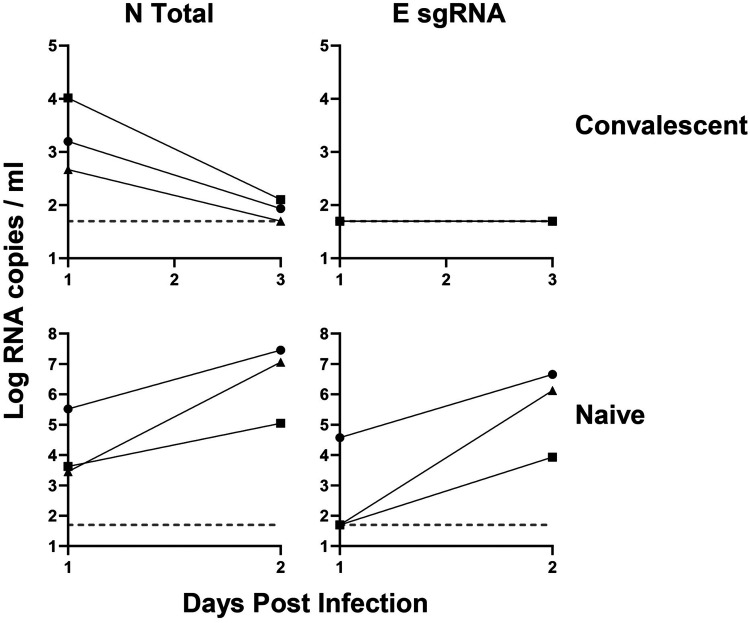 FIG 6