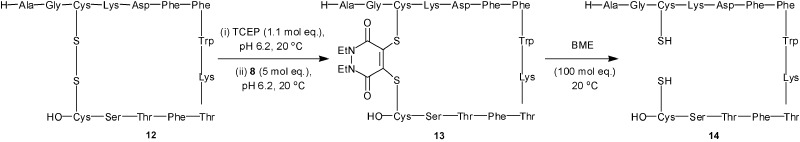 Scheme 5