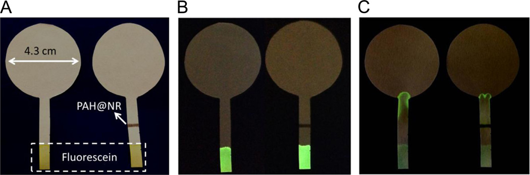 Fig. 2