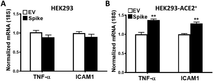 Supplementary Fig. 3