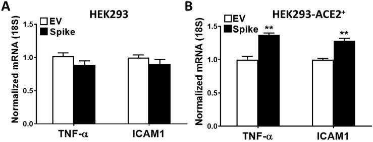 Supplementary Fig. 2