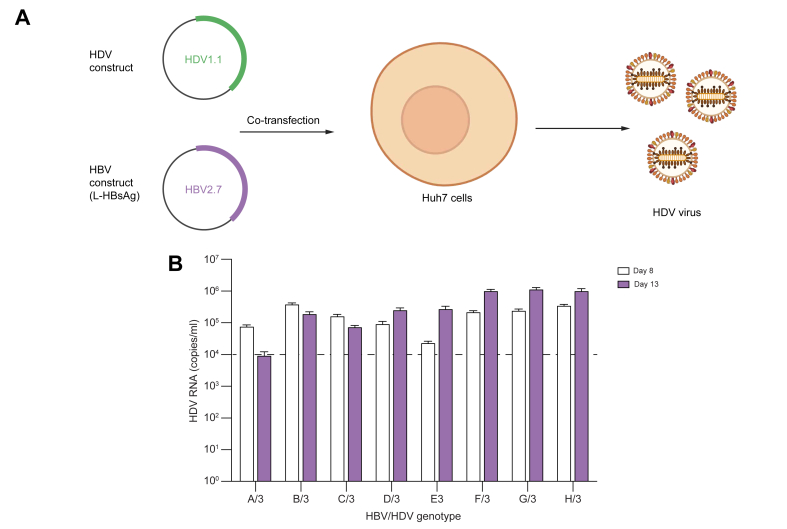 Fig. 1