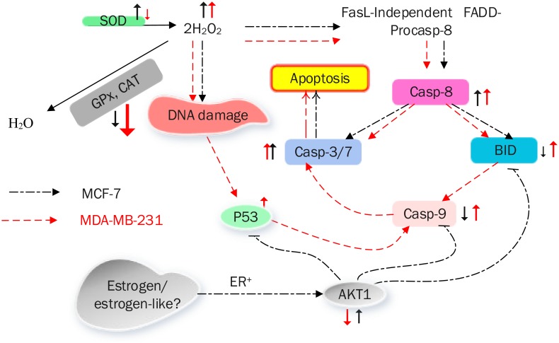 Fig 10