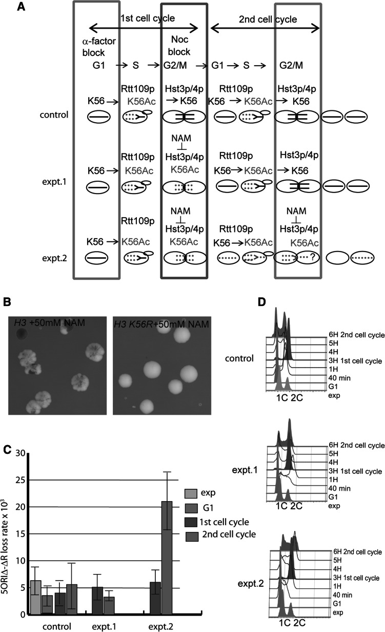 Fig. 4