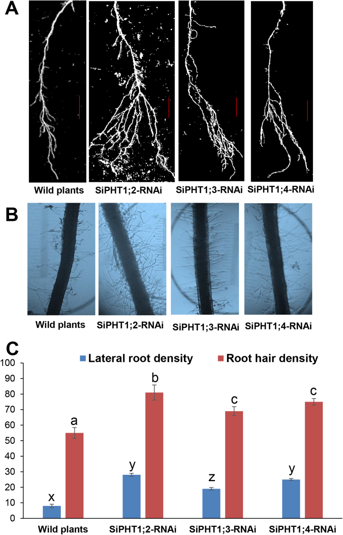 Figure 6