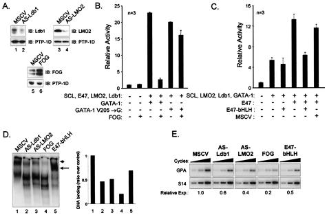 FIG. 8.