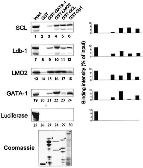 FIG. 6.