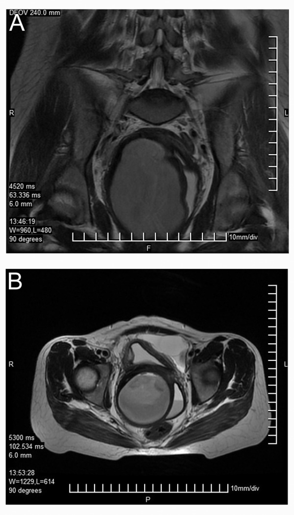 Fig.6