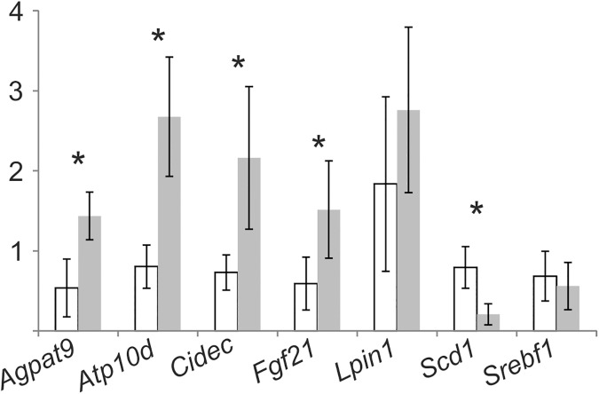 Fig 4