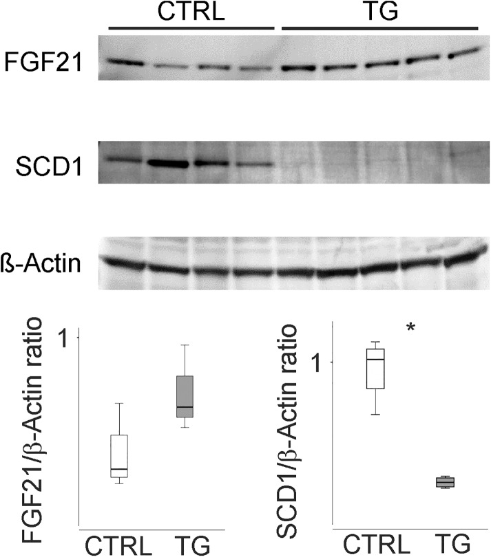 Fig 5