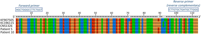 Figure 1