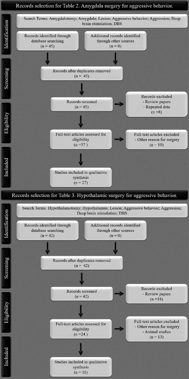 Amygdala and Hypothalamus: Historical Overview With Focus on Aggression ...