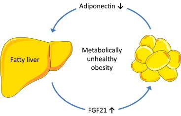 Figure 6