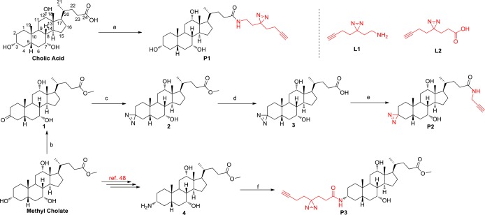 Scheme 1