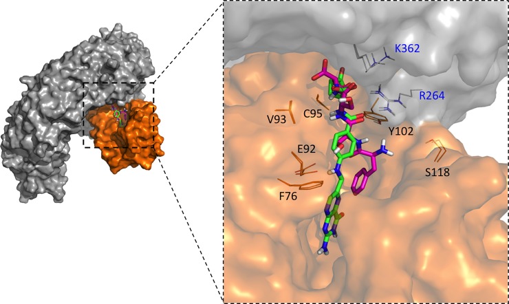 Fig 4