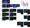 Extended Data Fig. 8