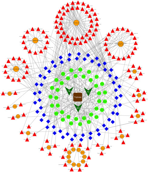 Figure 5.8