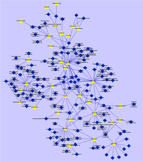 Figure 5.3