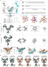 explores the structural basis, sequence alignment, and ligand interactions of GluN1-N3 NMDA receptors. Panel (a) shows the structural model of GluN1-GluN3. Panel (b) displays sequence alignment of GluN1, GluN2, and GluN3 subunits, highlighting predicted loops. Panel (c) illustrates ligand-protein interactions of glycine/CGP-78608 with GluN1-LBD and glycine with GluN3A-LBD. Panels (d) and (e) present structural models of glycine-bound and CNQX-bound GluN1-N3A, respectively. Panel (f) shows the density map and structural model of GluN1-N2A-N3A. Panel (g) displays predicted structural models of GluN1-N3A, GluN1-N3B, and GluN1-N3A-N3B.