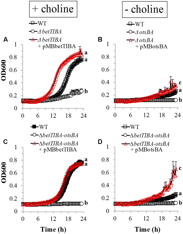 FIGURE 3