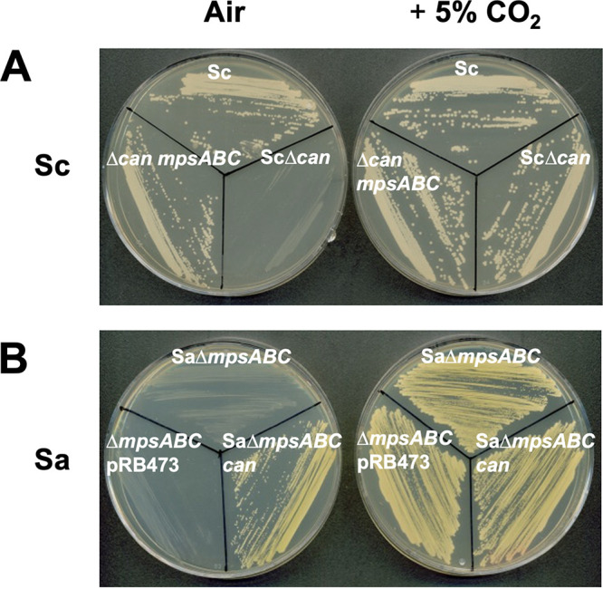 FIG 2