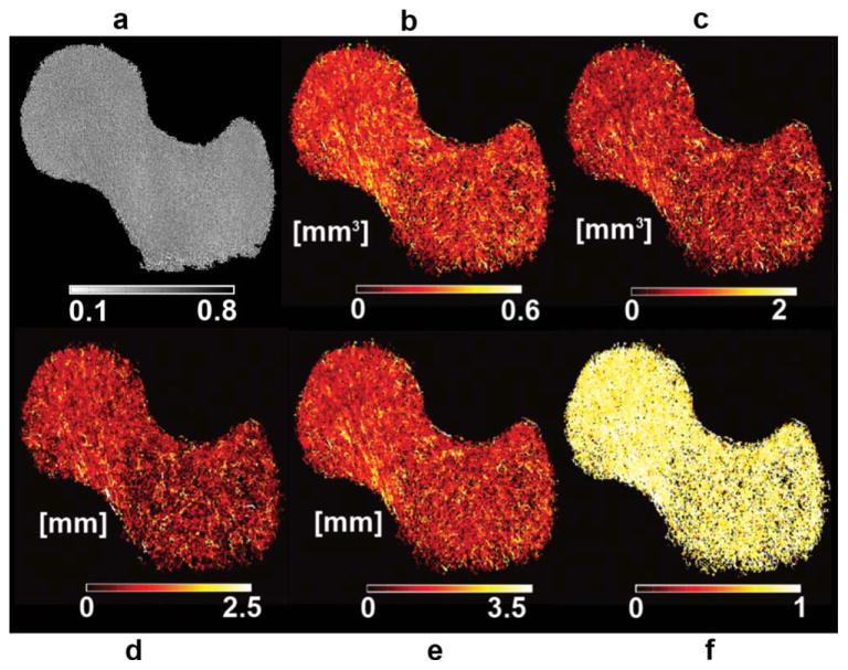 FIG. 7