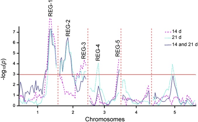 Fig. 3.