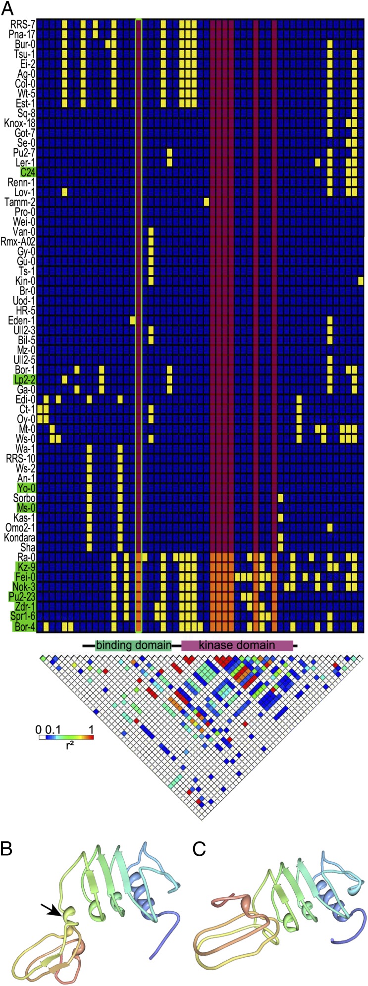 Fig. 4.