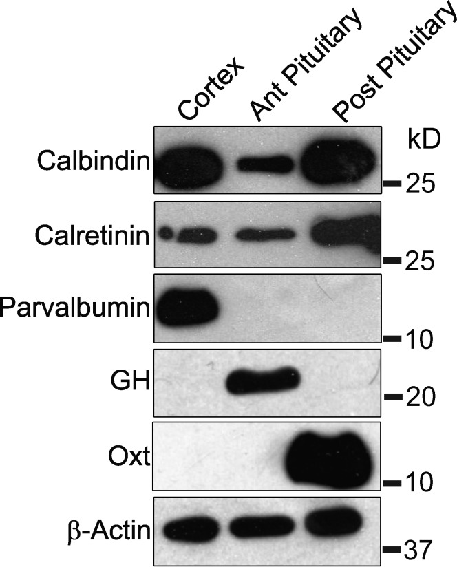 Figure 5.