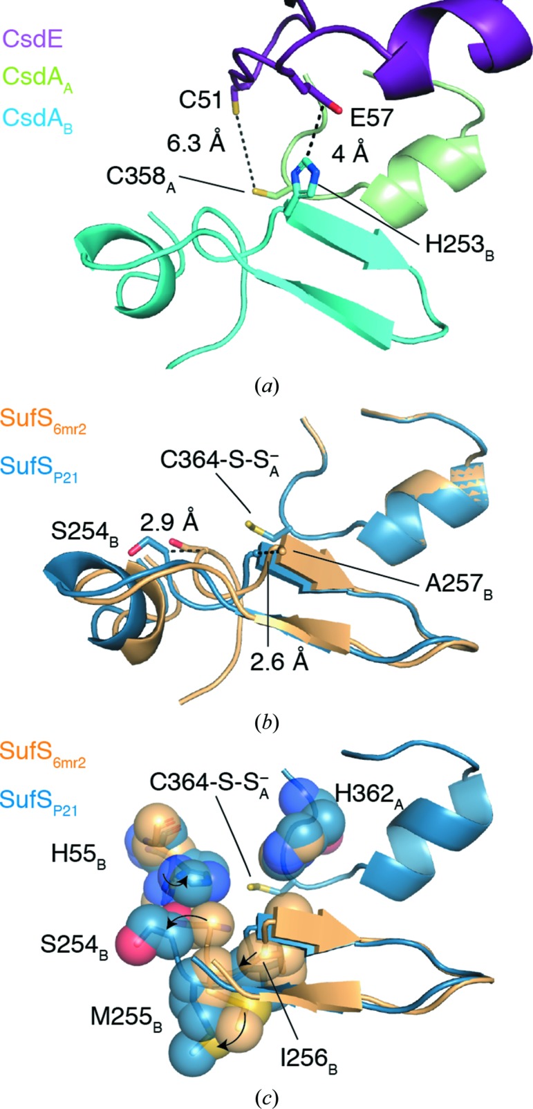 Figure 5