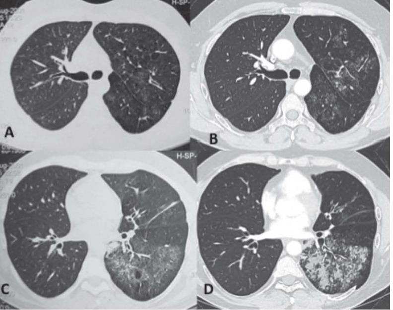 Fig. 1.