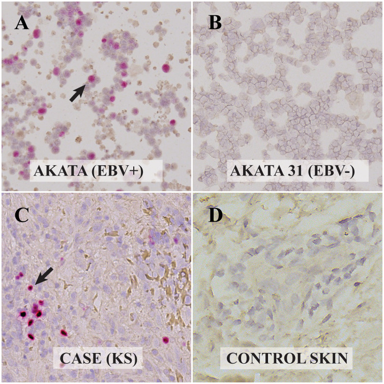 Figure 2