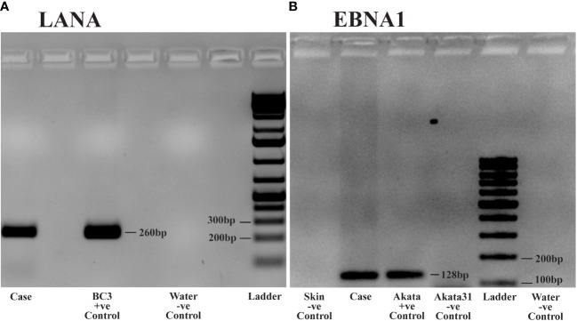 Figure 3