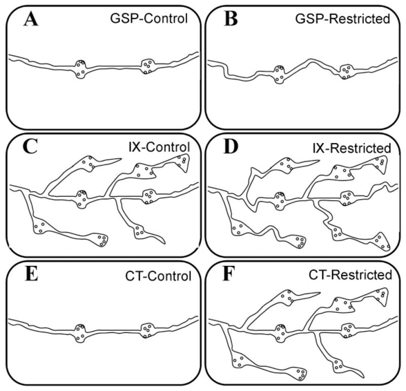 Fig. 11