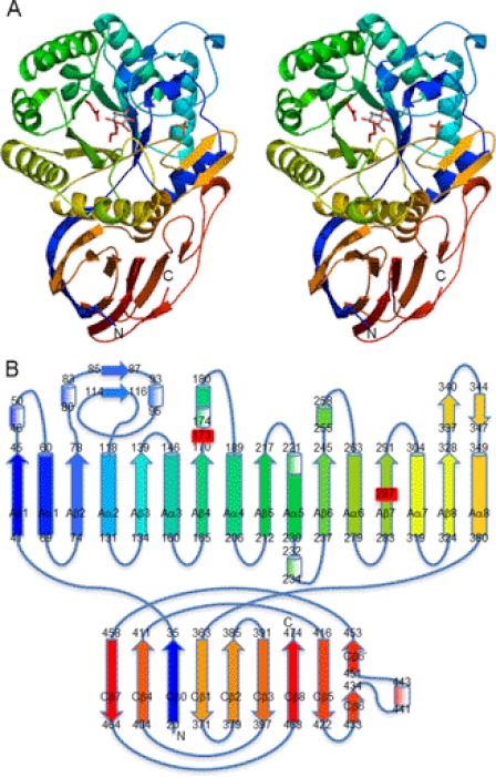 FIGURE 1.