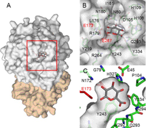 FIGURE 4.